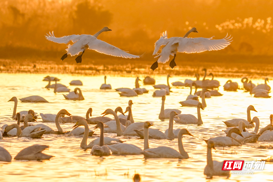 图片6.png 图片6.png