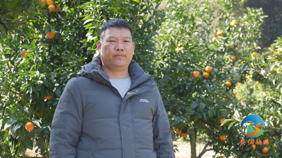 Still0108_00010.jpg Still0108_00010.jpg