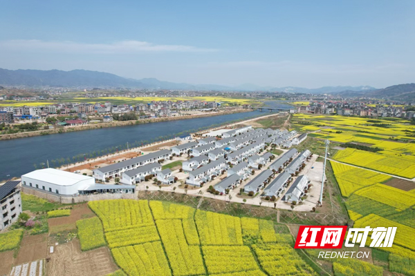 双井镇奋斗小区(易地搬迁安置区).jpg 双井镇奋斗小区(易地搬迁安置区).jpg