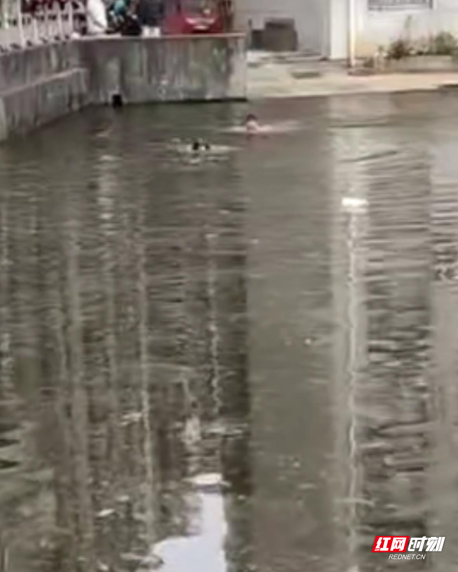 图片2.png 图片2.png