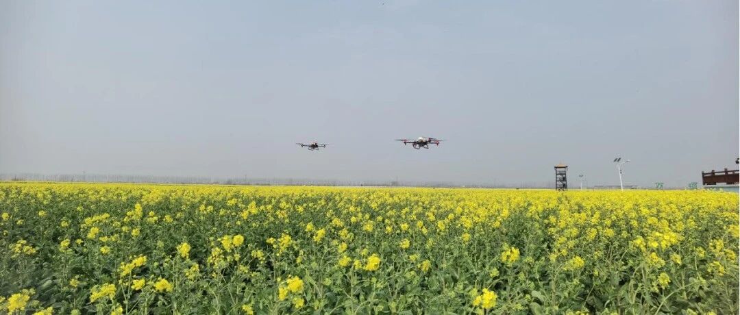 湖南10套农作物病虫害绿色防控技术模式获全国农技中心推介