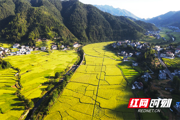 黄茅园镇.jpg 黄茅园镇.jpg