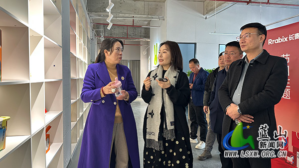 刘素萍带队赴长沙考察长沙市蓝山商会部分会员企业.jpg 刘素萍带队赴长沙考察长沙市蓝山商会部分会员企业.jpg