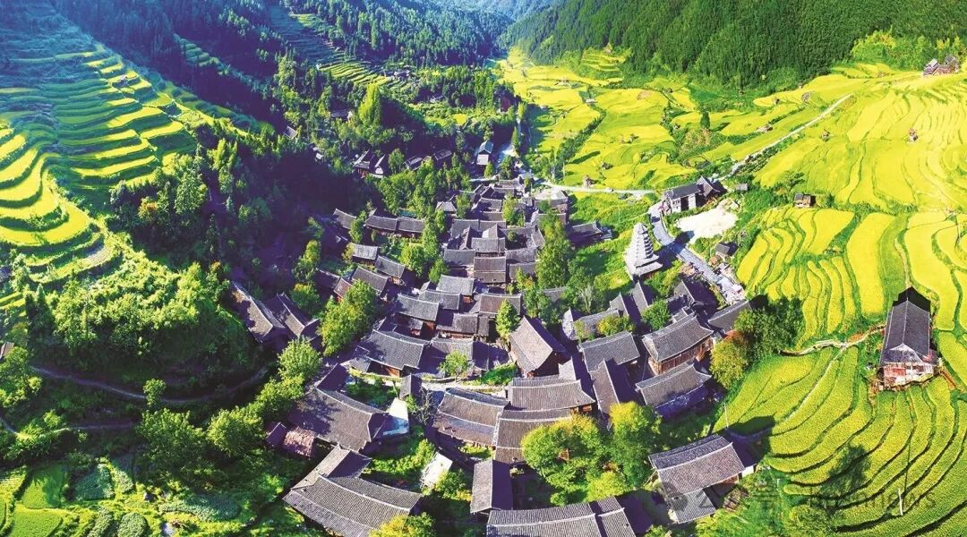 以拔节之姿 展动人画卷——绥宁县2025年经济社会发展综述(图5)