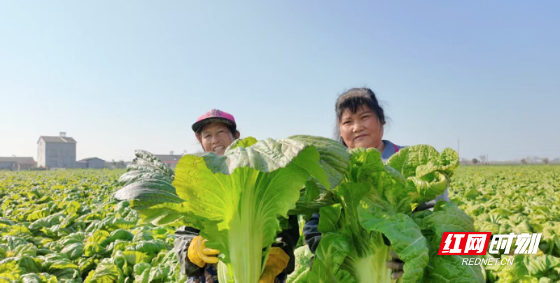 微信图片_20260112092322_84_3.png 微信图片_20260112092322_84_3.png