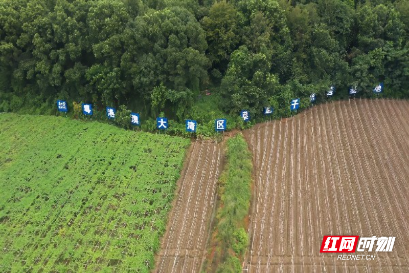 微信图片_20260113172451_458.jpg 微信图片_20260113172451_458.jpg