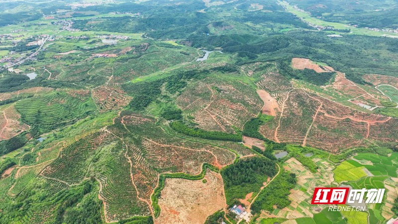 微信图片_2026-01-14_081045_450.jpg 微信图片_2026-01-14_081045_450.jpg