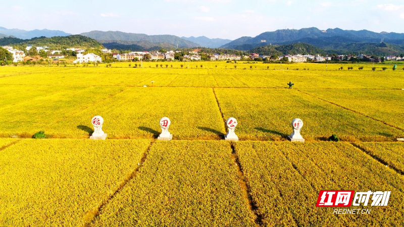 微信图片_2026-01-14_081036_706.jpg 微信图片_2026-01-14_081036_706.jpg