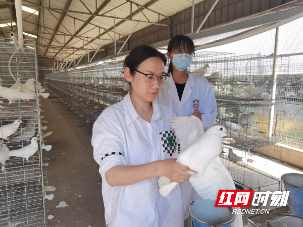 12312313.jpg 12312313.jpg