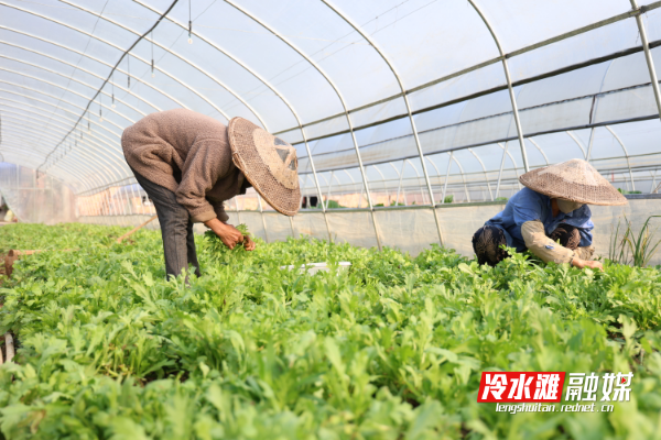 微信图片_20260115101102_41_89.jpg 微信图片_20260115101102_41_89.jpg