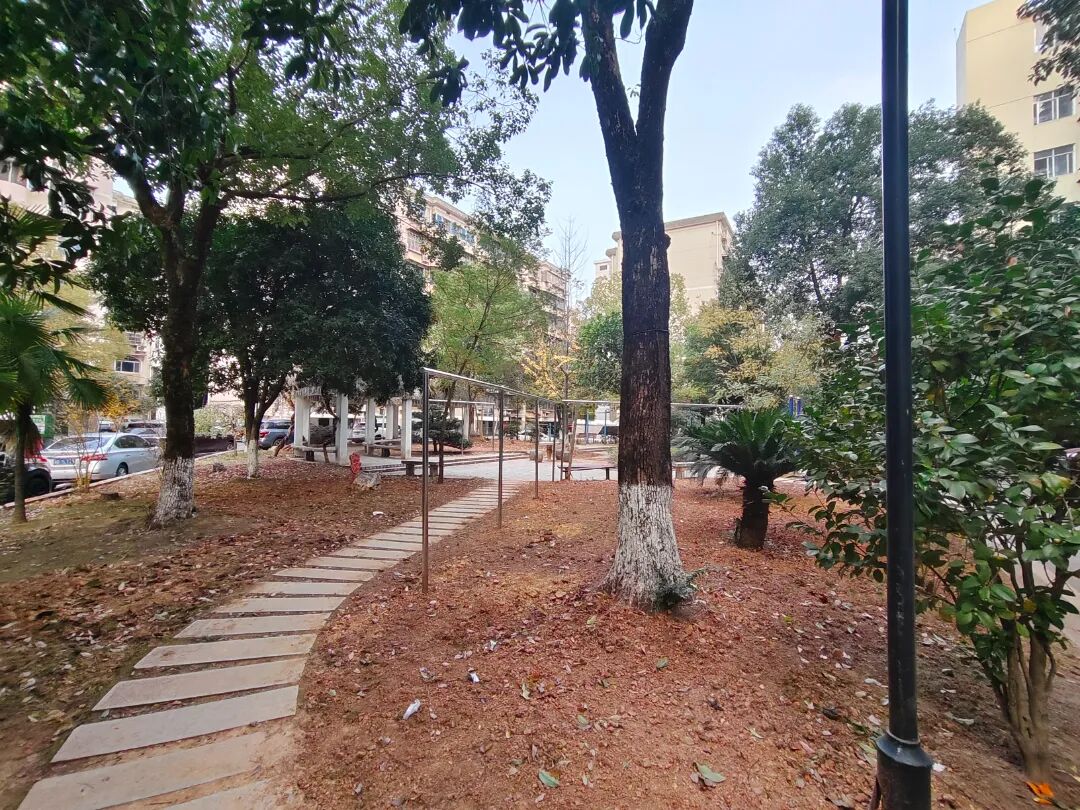 边角地变身舒心园 (2).jpg