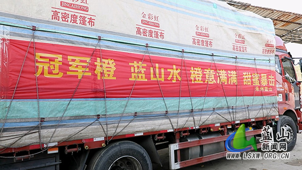 新闻特写：万斤脐橙载厚谊 两地携手谱新篇1.jpg