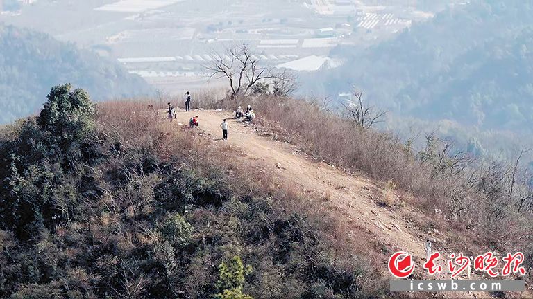 游客热衷于攀爬的山脊线陡坡，其实是公园的防火隔离带，仅用于阻隔火灾蔓延，并不是供游客攀爬的。 长沙晚报全媒体记者 陈飞 摄