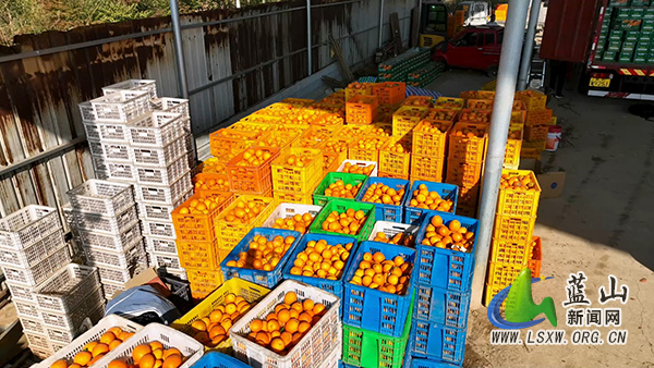 新闻特写：万斤脐橙载厚谊 两地携手谱新篇2.jpg