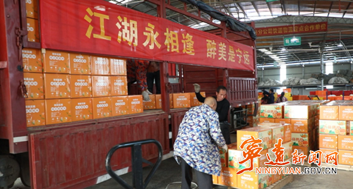 宁远柑橘搭上跨省协作快车 1.6万斤鲜果直供江苏淮安_副本500.png