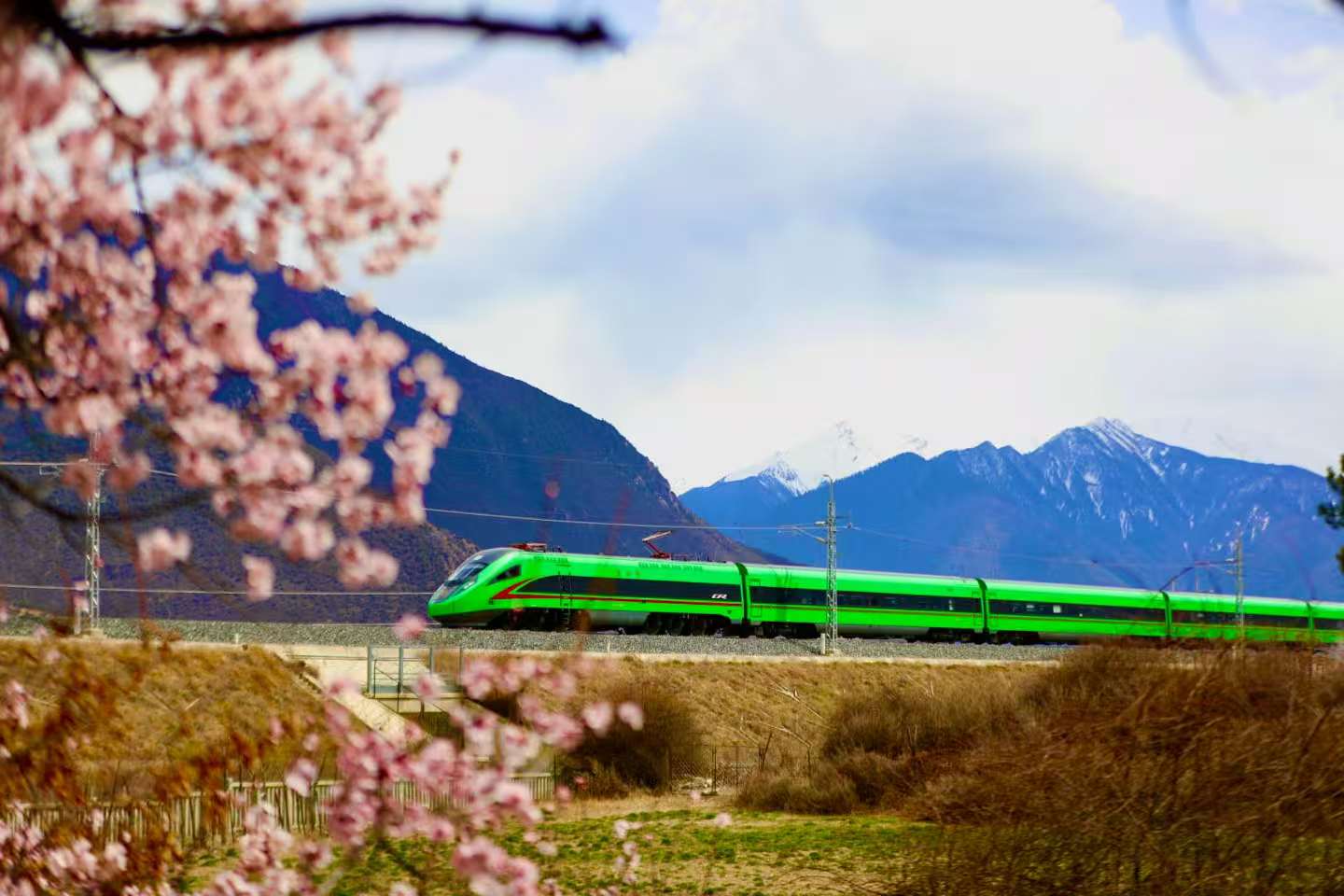 mmexport1768617871077