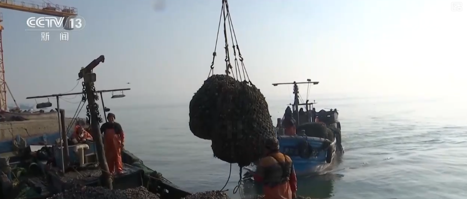 “鲜味经济”“鲜花经济”撬动节前火热消费 多地开启“年货交易模式”