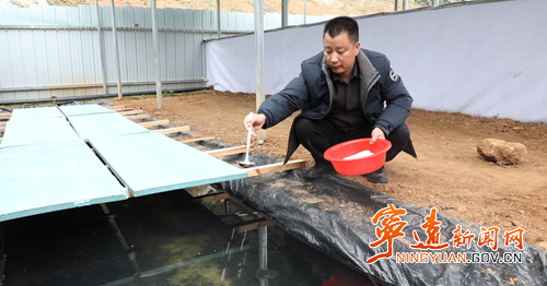 【委员风采】赵新财：深山养石蛙 蹚出共富路_副本500.png