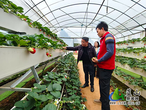 蓝山：高素质农民培训强本领 跟踪服务提质效.jpg