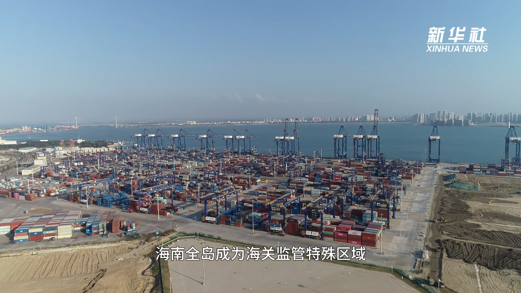 海南自贸港封关运作“满月”：洋浦看通关、订单与港航新变化