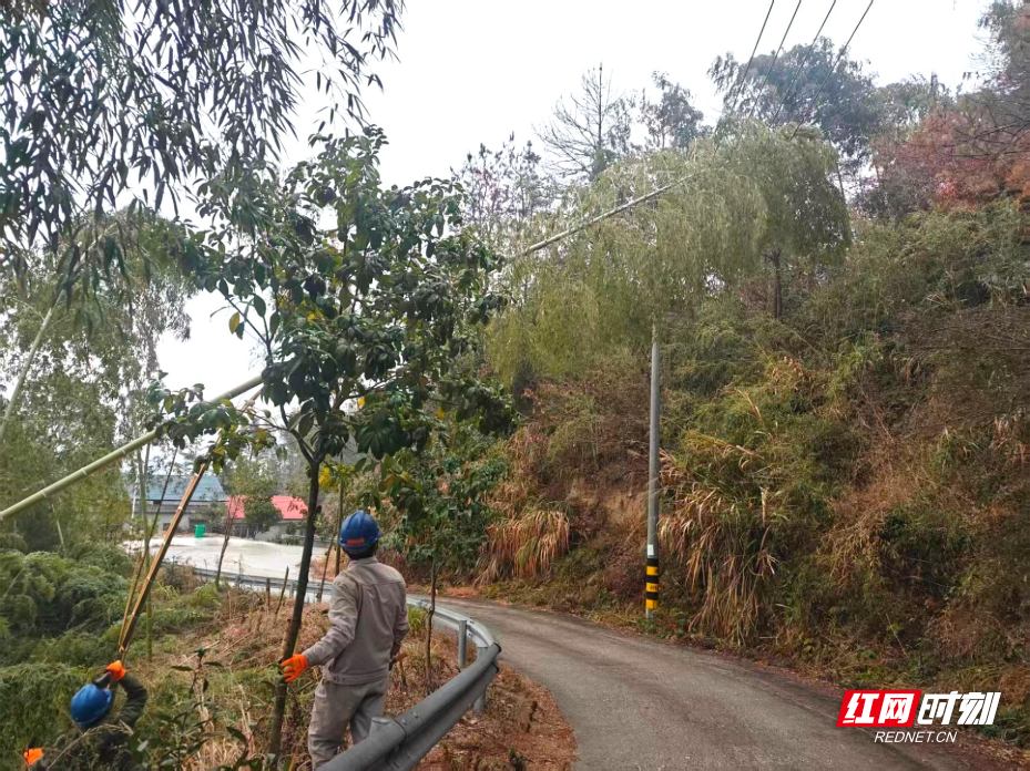 月田镇组织电力部门扫清除障排查安全隐患,确保人民群众生活有电.jpg 月田镇组织电力部门扫清除障排查安全隐患,确保人民群众生活有电.jpg