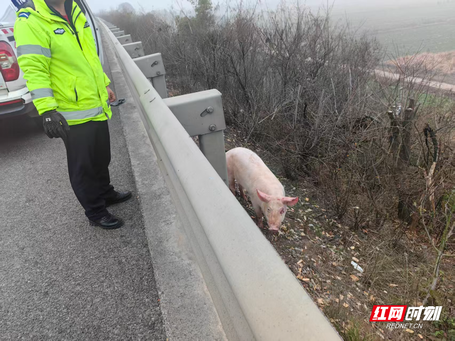 53e2ce85d17997556e6c7cd779dcad17.jpg 53e2ce85d17997556e6c7cd779dcad17.jpg