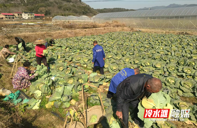 图片0001.png 图片0001.png