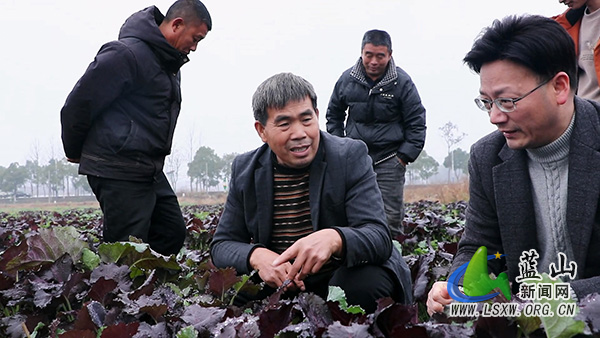 刘云发：十年磨“种” 兴农路 一心带富助乡兴2.jpg