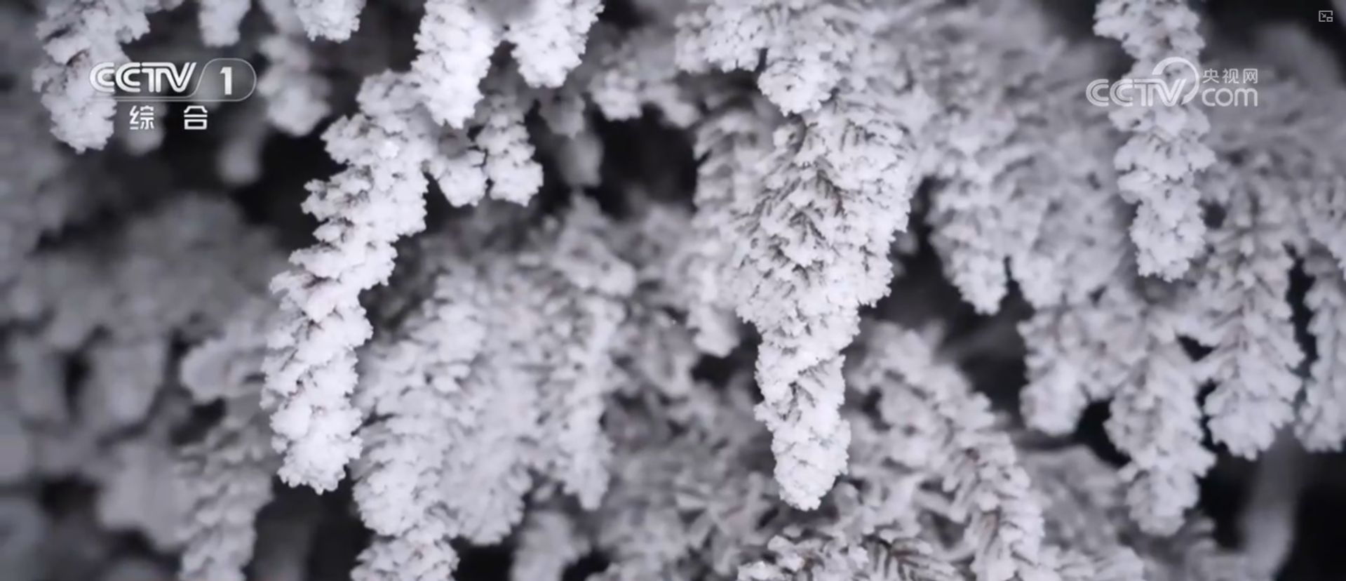 抗风雪、战寒潮、保畅通、护民生 各地各部门积极应对雨雪冰冻天气