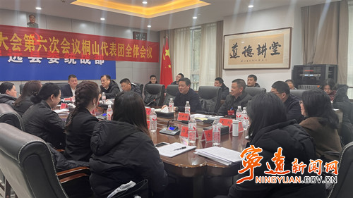 【聚焦两会】杨康参加桐山代表团讨论_副本500.jpg 【聚焦两会】杨康参加桐山代表团讨论_副本500.jpg