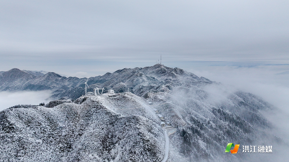 微信图片_20260122214446_1772_317.jpg 微信图片_20260122214446_1772_317.jpg