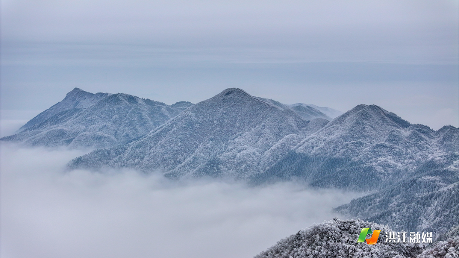 微信图片_20260122214444_1771_317.jpg 微信图片_20260122214444_1771_317.jpg