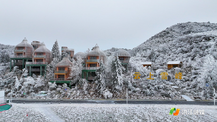 微信图片_20260122214457_1776_317.jpg 微信图片_20260122214457_1776_317.jpg