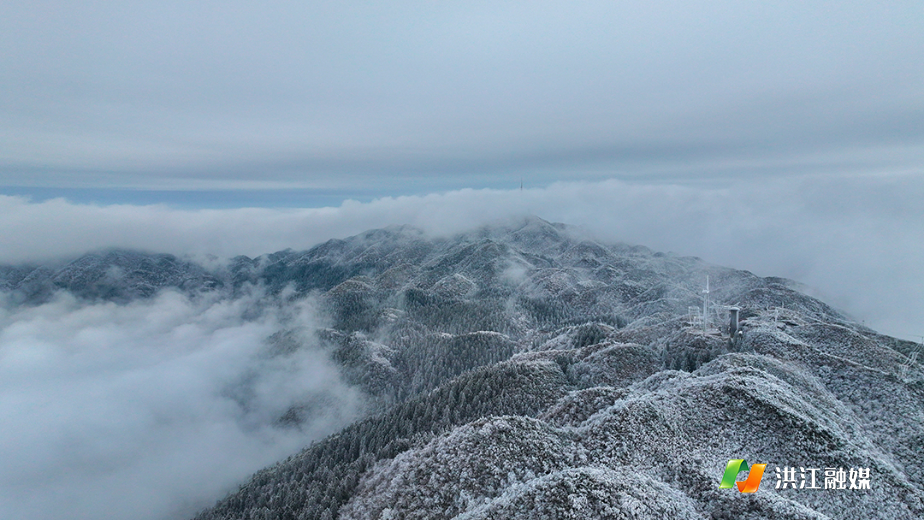 微信图片_20260122214452_1774_317.jpg 微信图片_20260122214452_1774_317.jpg