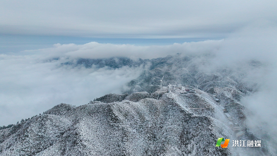 微信图片_20260122214454_1775_317.jpg 微信图片_20260122214454_1775_317.jpg