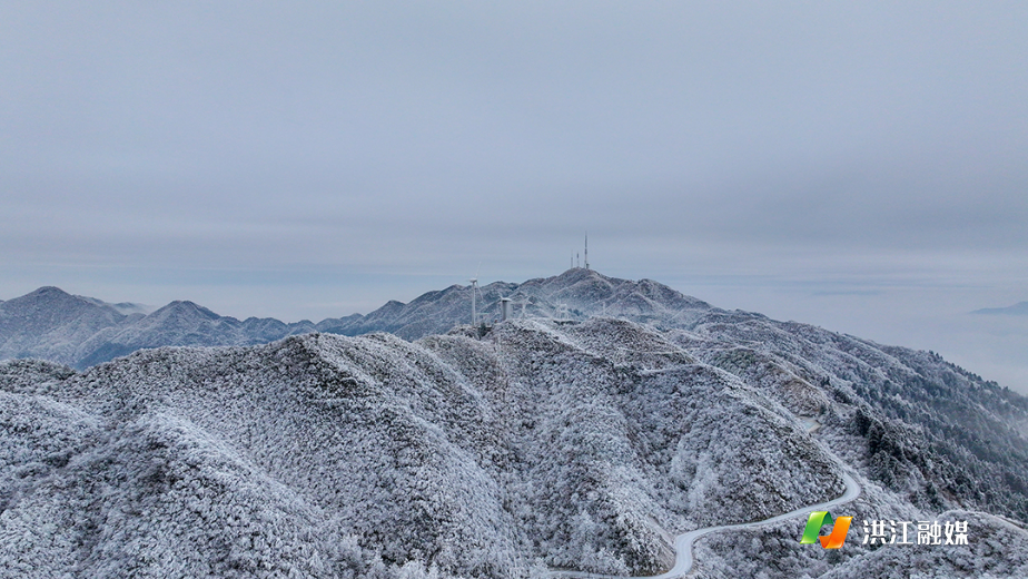 微信图片_20260122214459_1777_317.jpg 微信图片_20260122214459_1777_317.jpg