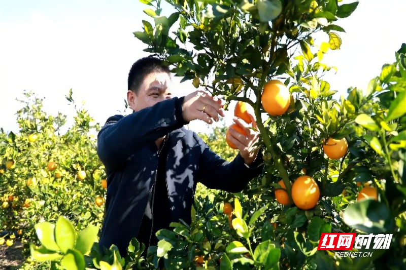 微信图片_20260113172459_460.jpg 微信图片_20260113172459_460.jpg