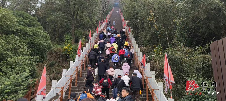 图片8.png 图片8.png