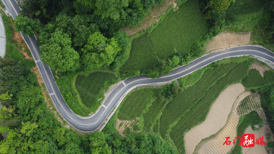 微信图片_20260123154737_42_95.jpg 微信图片_20260123154737_42_95.jpg