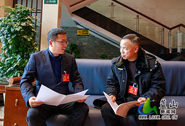 【聚焦两会】聚共识 担使命 蓝山县政协委员向大会报到1.jpg