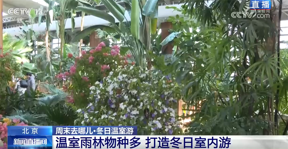 室内游升温、研学游正当时 文旅“热”让“冬日经济”多点开花、活力迸发