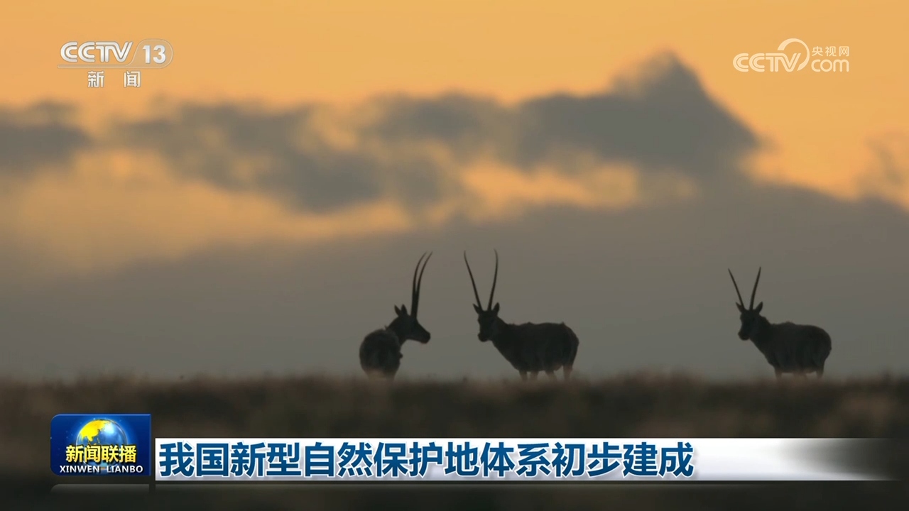 我国新型自然保护地体系初步建成