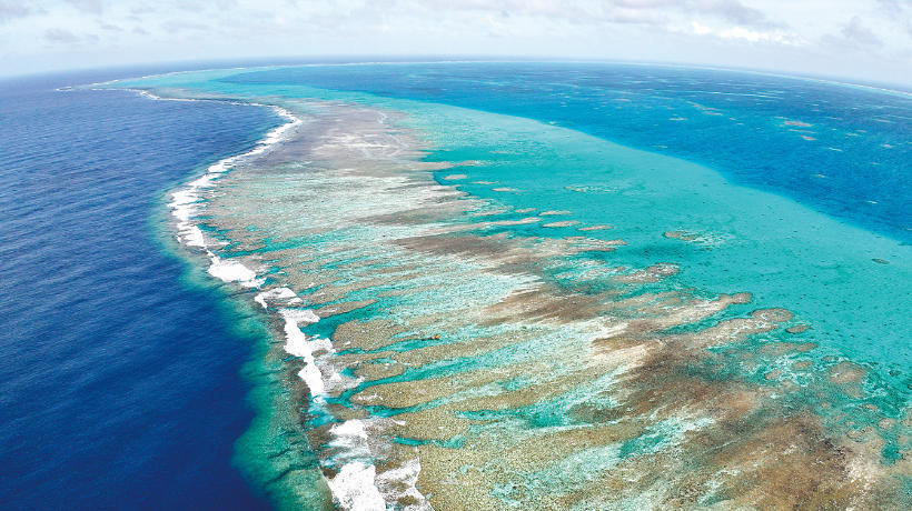壮美河山,有它们守护 壮美河山,有它们守护