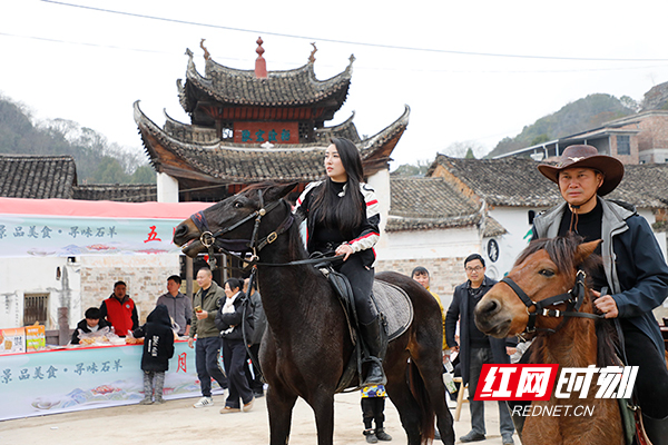 _Z9A1894.jpg _Z9A1894.jpg