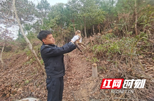 6b1398bb047df6d97e07158bb8d2218d(1).jpg 6b1398bb047df6d97e07158bb8d2218d(1).jpg