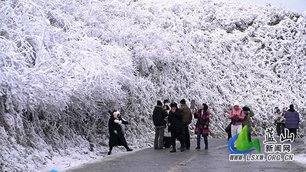 蓝山县云冰山：雾凇冰挂醉游人 岭南冬日景正浓2222.jpg