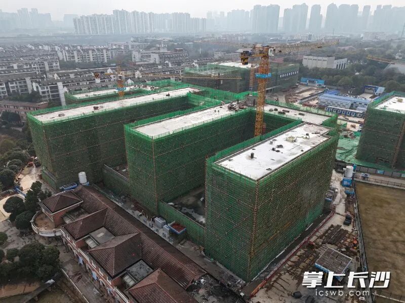 近日，湘郡培粹实验中学隆平校区实现主体结构全面封顶。 长沙晚报全媒体记者 王志伟 通讯员 张晓 摄