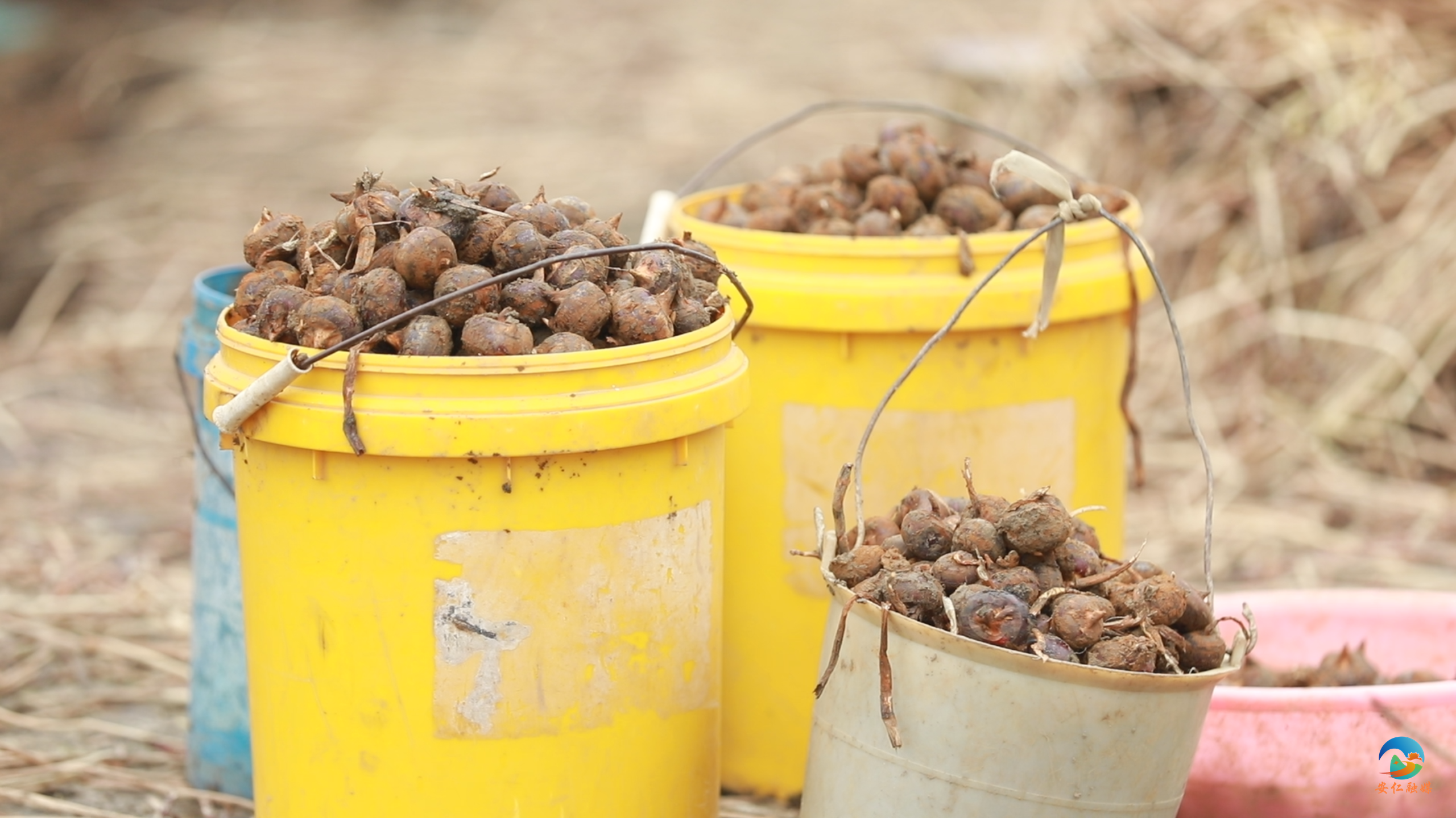 1月27日 (1)(16).png