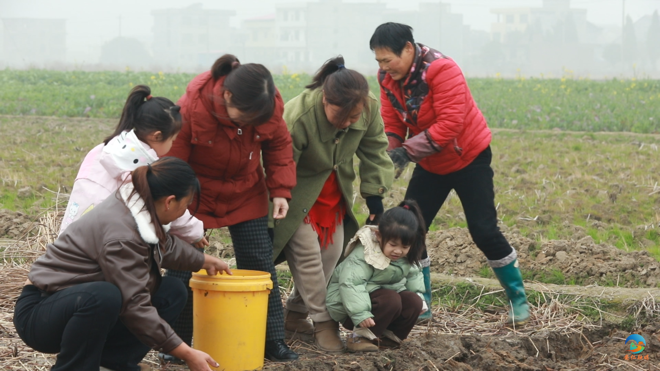 1月27日 (1)(7).png