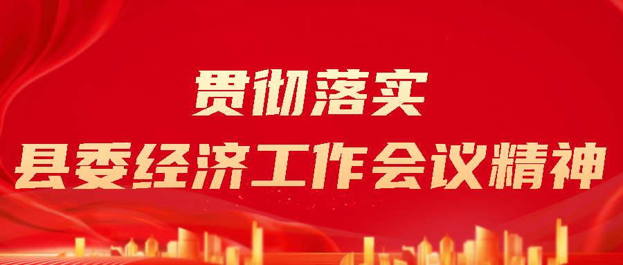 专题 | 贯彻落实县委经济工作会议精神